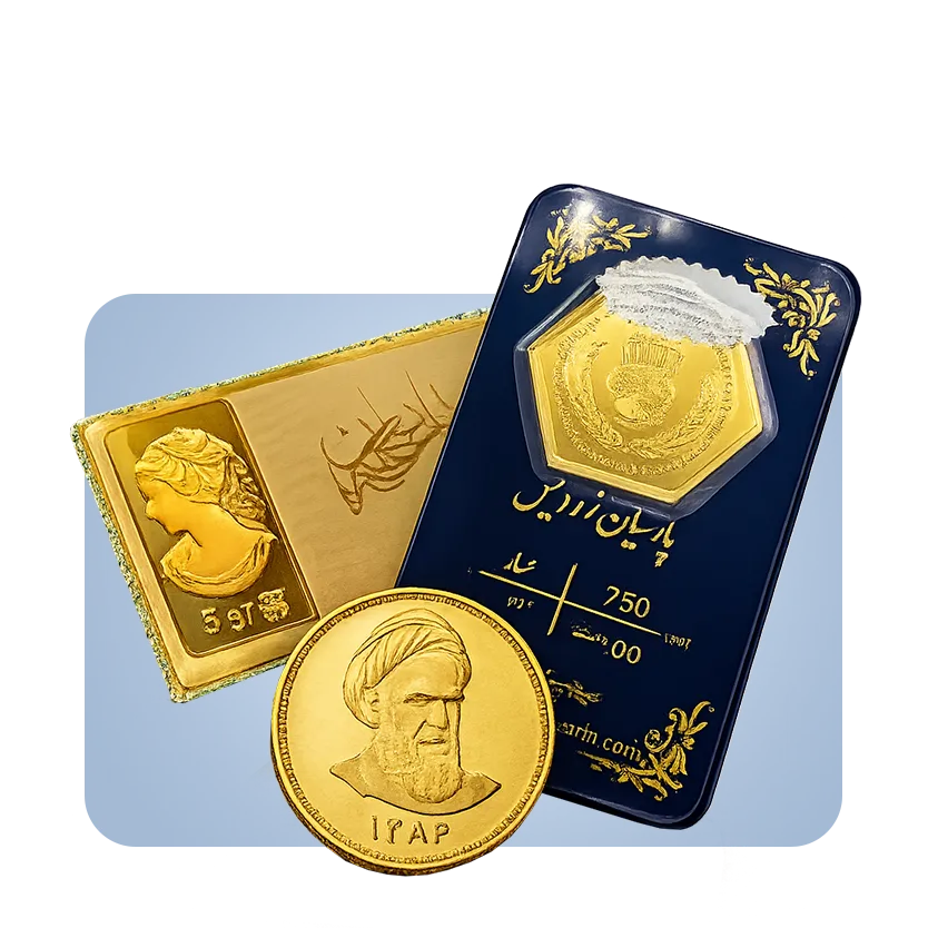 سکه طلا با ماهی 300 تومان