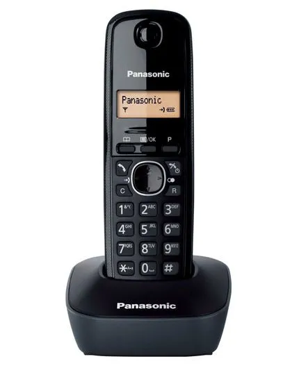 تصویر  تلفن بی سیم پاناسونیک مدل تی جی 1611