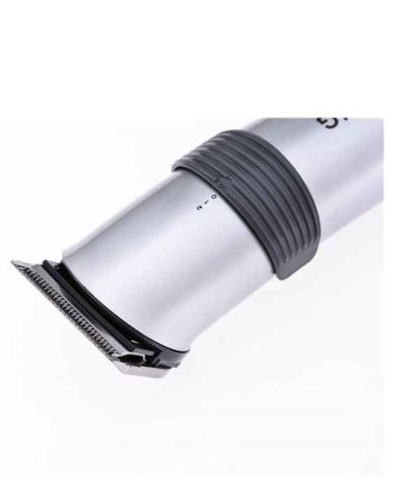 تصویر  ماشین اصلاح سر و صورت (ریش تراش) دینگ لینگ مدل RF-609