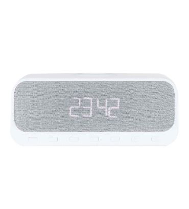 اسپیکر بی سیم دینلاین مدل DW-300