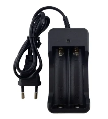 تصویر  شارژر اتوماتیک باتری مدل ZJ-3009