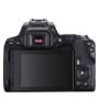 تصویر  دوربین عکاسی کانن مدل EOS 250D با لنز IS STM 18-55 میلی متری