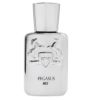 تصویر  عطر جیبی مردانه نایس مدل پگاسوس 32 میلی لیتر